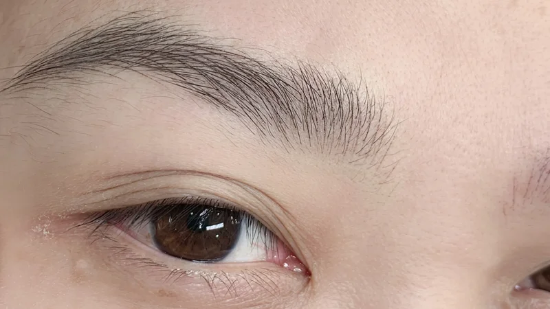 Phẩy Sợi Lông Mày Tàng Hình Là Gì?