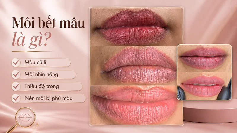 Môi bết màu là gì và vì sao môi nhìn lì, nặng? Môi bết màu là gì và vì sao môi nhìn lì, nặng?